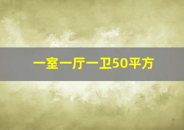 一室一厅一卫50平方