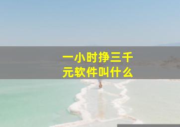 一小时挣三千元软件叫什么