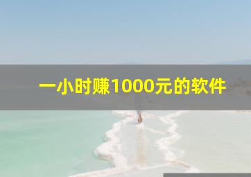 一小时赚1000元的软件