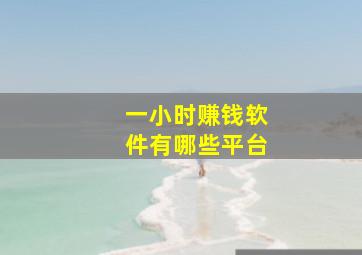 一小时赚钱软件有哪些平台