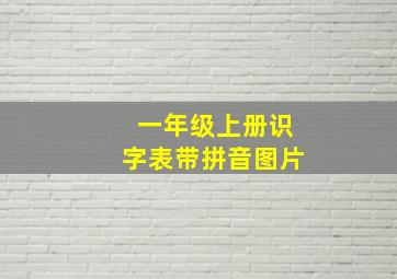 一年级上册识字表带拼音图片