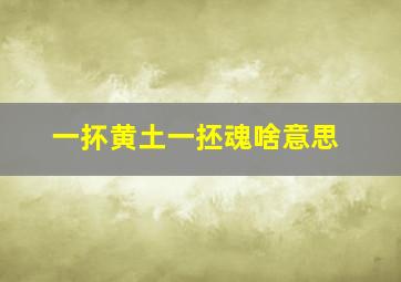 一抔黄土一抷魂啥意思