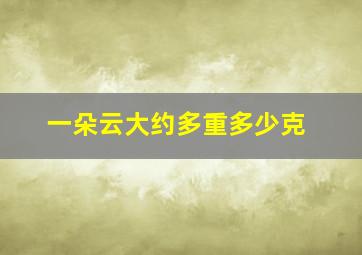 一朵云大约多重多少克