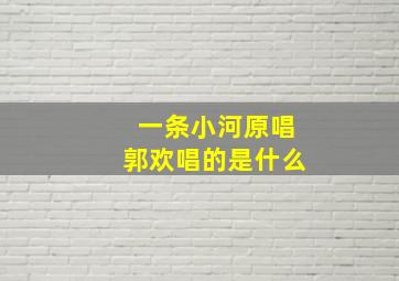 一条小河原唱郭欢唱的是什么