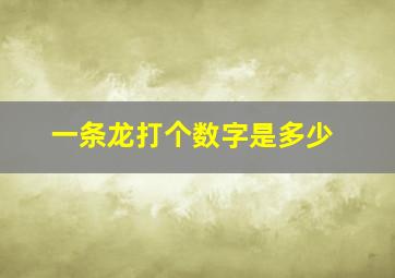 一条龙打个数字是多少