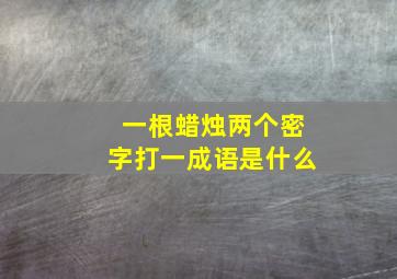 一根蜡烛两个密字打一成语是什么