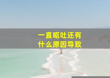 一直呕吐还有什么原因导致