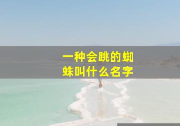 一种会跳的蜘蛛叫什么名字