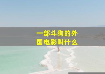 一部斗狗的外国电影叫什么