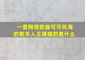 一首网络歌曲可可托海的牧羊人王琪唱的是什么