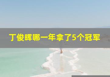 丁俊晖哪一年拿了5个冠军