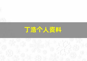 丁浩个人资料