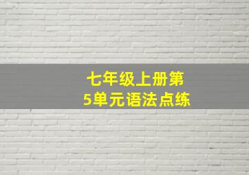 七年级上册第5单元语法点练