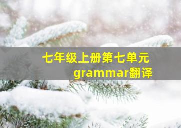 七年级上册第七单元grammar翻译