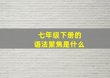 七年级下册的语法聚焦是什么