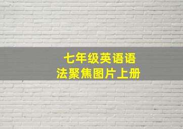 七年级英语语法聚焦图片上册