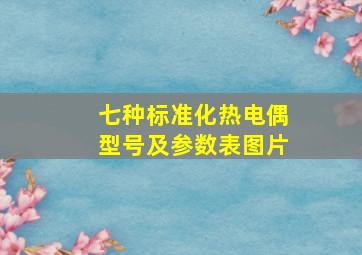 七种标准化热电偶型号及参数表图片