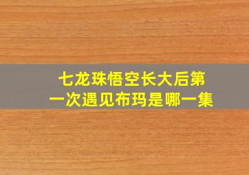 七龙珠悟空长大后第一次遇见布玛是哪一集