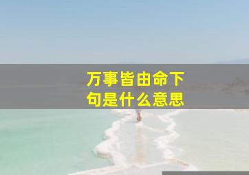 万事皆由命下句是什么意思