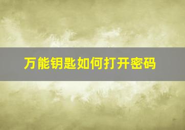 万能钥匙如何打开密码