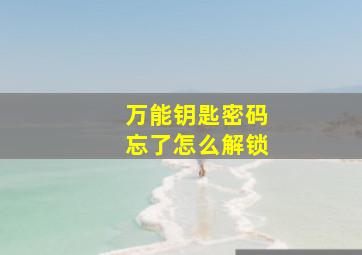 万能钥匙密码忘了怎么解锁