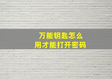 万能钥匙怎么用才能打开密码