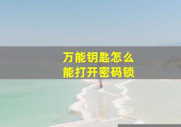 万能钥匙怎么能打开密码锁