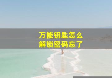 万能钥匙怎么解锁密码忘了