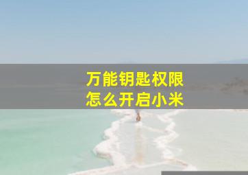 万能钥匙权限怎么开启小米