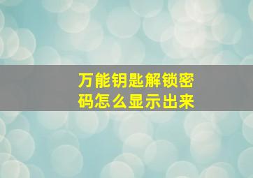 万能钥匙解锁密码怎么显示出来