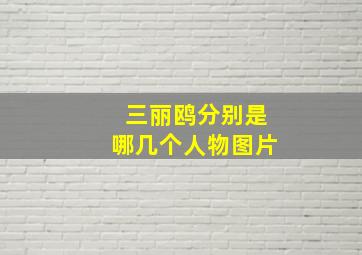 三丽鸥分别是哪几个人物图片