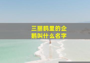 三丽鸥里的企鹅叫什么名字