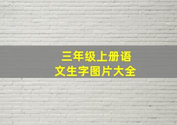 三年级上册语文生字图片大全