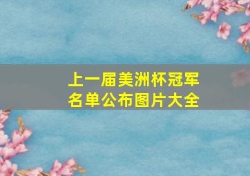 上一届美洲杯冠军名单公布图片大全