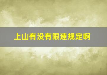 上山有没有限速规定啊