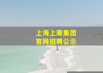 上海上港集团官网招聘公示