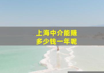 上海中介能赚多少钱一年呢