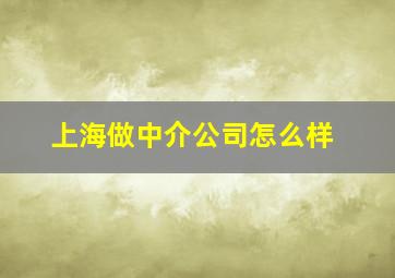 上海做中介公司怎么样