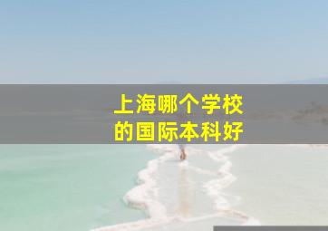 上海哪个学校的国际本科好