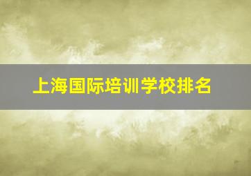 上海国际培训学校排名