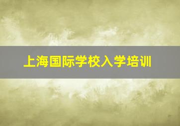 上海国际学校入学培训