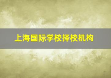 上海国际学校择校机构