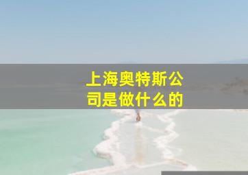 上海奥特斯公司是做什么的