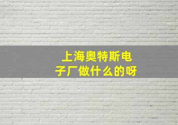 上海奥特斯电子厂做什么的呀