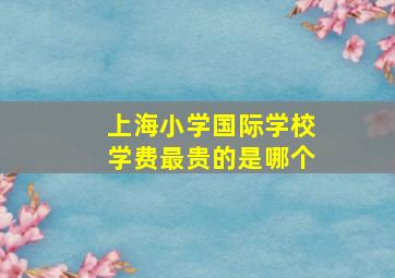 上海小学国际学校学费最贵的是哪个