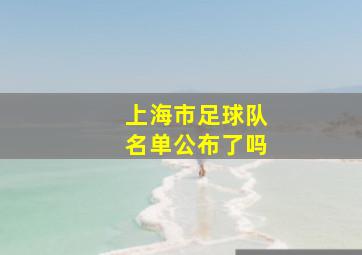 上海市足球队名单公布了吗