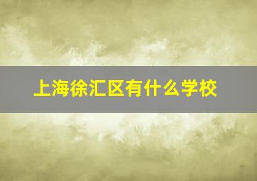 上海徐汇区有什么学校