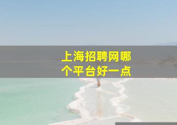 上海招聘网哪个平台好一点