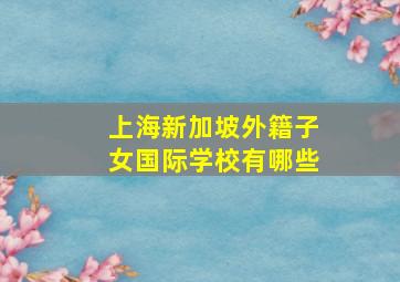 上海新加坡外籍子女国际学校有哪些