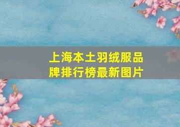 上海本土羽绒服品牌排行榜最新图片